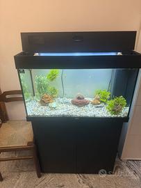 Acquario juwel