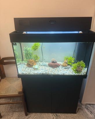 Acquario juwel
