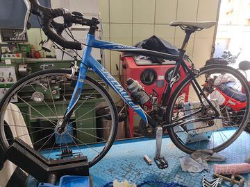  Bicicletta Specialized Allez