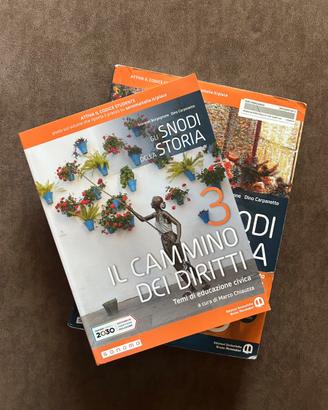 Libro di storia “Gli snodi della storia 3”