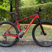 MTB Specialized Stumpjumper carbon