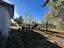 Immagine 10