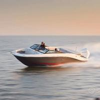 Searay spx 230 + mercury 225 cv