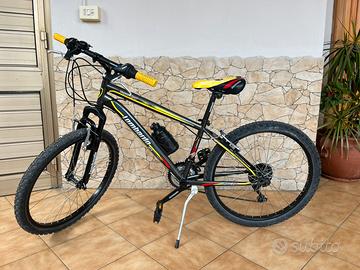 Bici montain bike lombardo tropea 24 come nuova