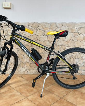 Bici montain bike lombardo tropea 24 come nuova