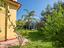 Immagine 11