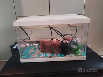 n2 aquari 