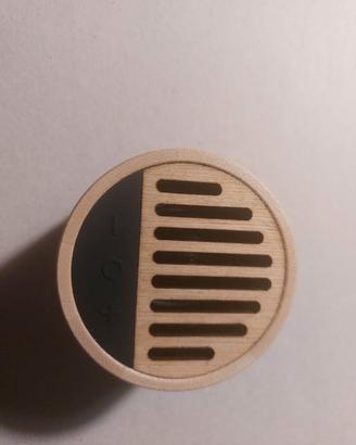 Speaker wireless