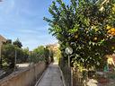 4-locali-a-alghero