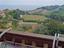 Immagine 7