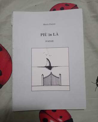 Puletti - Più in là poesie