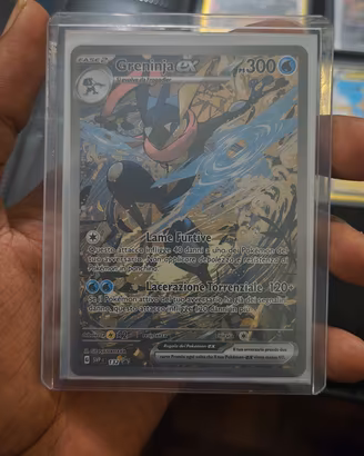 lotto carte pokemon