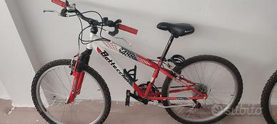 Mountain bike