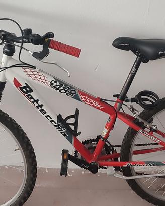 Mountain bike