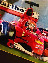 Sport esposiz. F.1