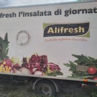 Cella coibentata con frigo x furgone