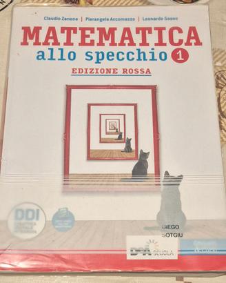 Libro MATEMATICA ALLO SPECCHIO 1