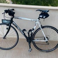 Bottecchia AV 803