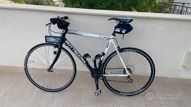 Bottecchia AV 803