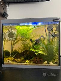 Caridinario acquario completo con caridine 12l