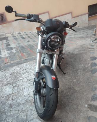 ducati Monster dark 600