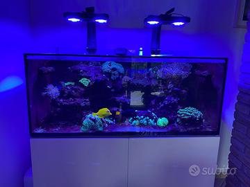 Acquario marino 120x60x50h completo