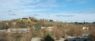 Letto matrimoniale in stanza singola panoramica