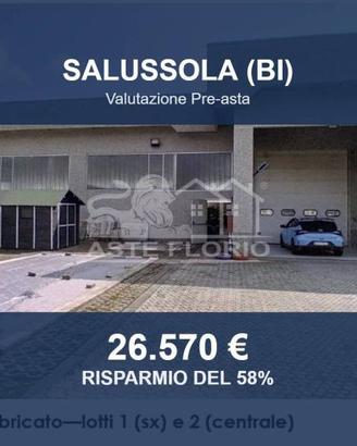 Immobile in asta di 323 m² a Salussola