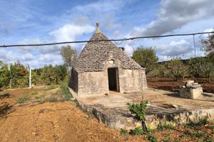 Trulli con terreno ciliegeto