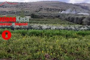 Terreno di 17638 m² a San Felice a Cancello
