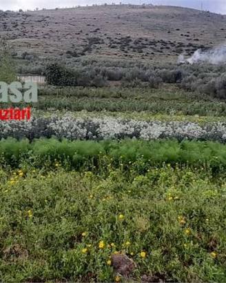 Terreno di 17638 m² a San Felice a Cancello