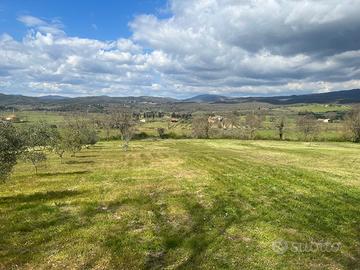 Terreno incantevole 5 ettari