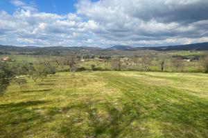 Terreno incantevole 5 ettari