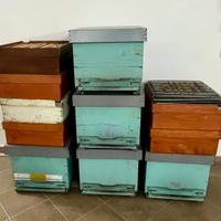 Arnie complete di melari