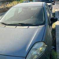 Fiat Punto carina carina?