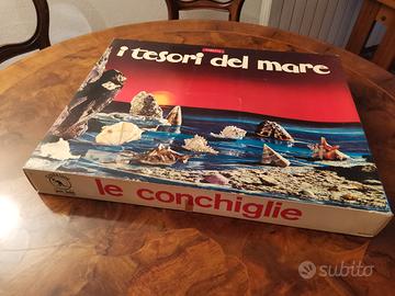 Scatola conchiglie (Anni Settanta)
