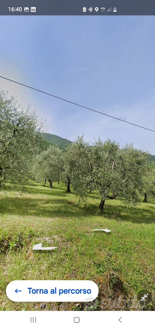 Terreno con rudere - Vista 3