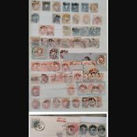 ASI Lombardo Veneto Selezione Nuovi e Usati