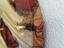 Immagine 5