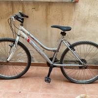 Lotto di due bici