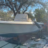 Barca open 4,5 metri con motore 40 cv