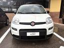 fiat-panda-1-0-firefly-hybrid-70-cv