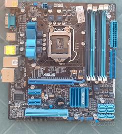 Scheda madre ASUS P7P55-M + CPU Intel Core i5-650