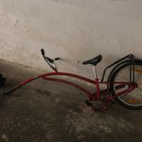 Rimorchio bicicletta per bambino