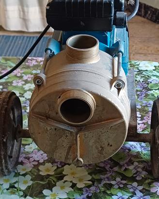 POMPA PER TRAMUTARE LIQUIDI