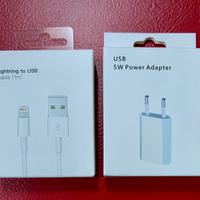 Caricabatterie iPhone & Cavo Lightning 1 mt.