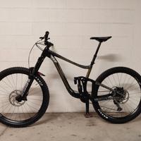 Giant Reign 29
