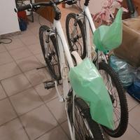 Biciclette "Adriatica"