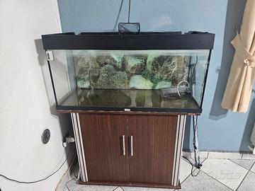 acquario rio 180