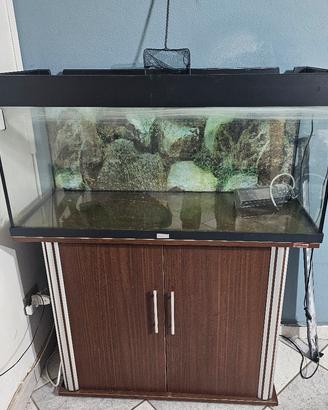 acquario rio 180